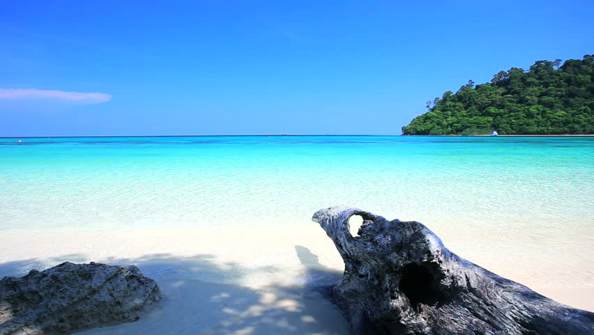 Cheapest Andaman Package, 2 Day/ 1 Night | Dreamplore Travels